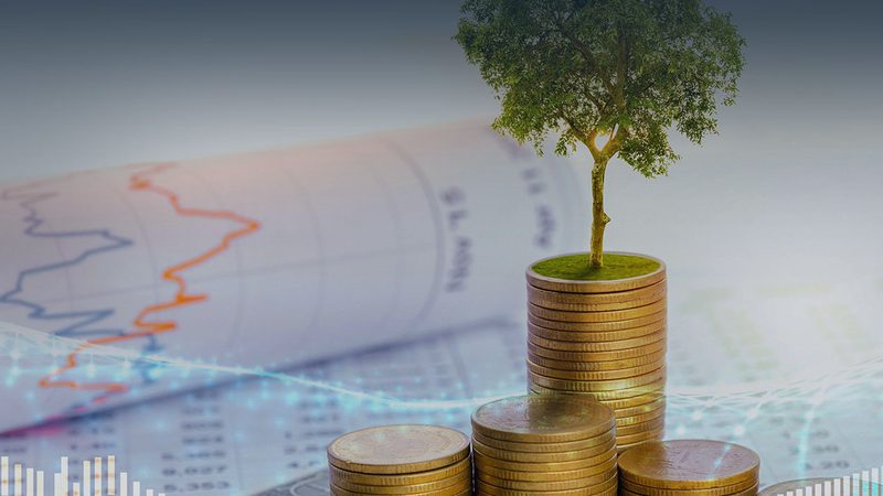 企业管理咨询项目流程及方法揭秘：企业转型之路的指南针**